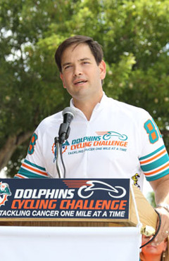 miami dolphins cycling jersey