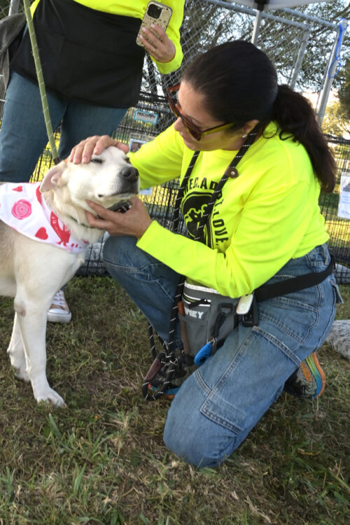 Yolanda Berkowitz at the Adopt Miami Pets event with Friends of Miami Animals Adoption event in Medley